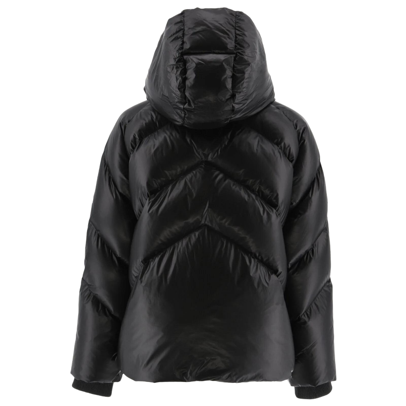 Chaqueta Stellar JOTT