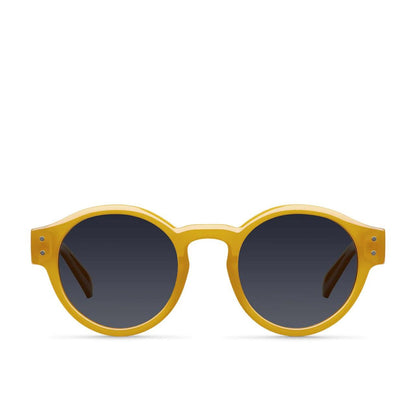 Óculos de sol Fynn Amber Carbon Meller